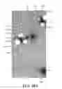 Fig. 07 - Method of detecting gas-producing microbial colonies