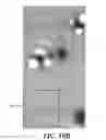 Fig. 08 - Method of detecting gas-producing microbial colonies