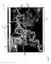 Fig. 09 - System and methods for semi-automated editing of ortho-mosaics built from remotely-sensed imagery