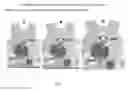 Fig. 01 - Method for automatic extrapolation of designs across apparel and accessory sizes and types