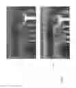 Fig. 07 - Video contrast enhancement with sub-segments