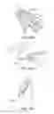 Fig. 35 - Ambient light compensation for augmented or virtual reality