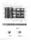 Fig. 07 - Gaming machine and methods of upgrading game symbols in an outcome of a game