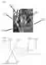 Fig. 02 - TEACHING AID PROVIDING TACTILE FEEDBACK ASSOCIATED WITH LARGE STRINGED INSTRUMENTS