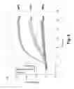 Fig. 05 - Methods for driving electro-optic displays, and apparatus for use therein