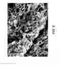 Fig. 08 - Graphene composites and methods of making and using the same