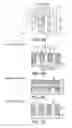Fig. 10 - Memory transistors with buried gate electrodes