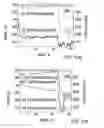 Fig. 08 - Method of stabilizing hydrogenated amorphous silicon and amorphous hydrogenated silicon alloys