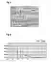 Fig. 04 - Doping media for the local doping of silicon wafers