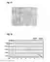 Fig. 08 - Doping media for the local doping of silicon wafers