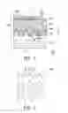 Fig. 02 - Light emitting diode chip having multi microstructure substrate surface