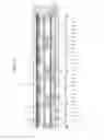 Fig. 04 - Donor mask and method of manufacturing organic light emitting display apparatus using the same