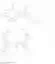 Fig. 32 - Organic light-emitting device with transparent electrode having both conductivity and optical transparency