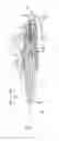 Fig. 03 - Spark plug