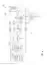 Fig. 05 - Active ESD protection circuit