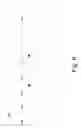 Fig. 07 - Automatically curating video to fit display time