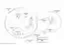 Fig. 01 - Rank indicator inheritance for subframe restricted channel state information reporting