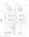 Fig. 19 - Broadcasting signal transmitting apparatus, broadcast signal receiving apparatus, and broadcast signal transceiving method in a broadcast signal transceiving apparatus