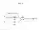 Fig. 07 - Method and terminal for synchronizing in distributed wireless communication