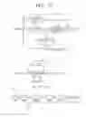 Fig. 20 - Lighting device
