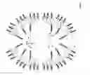 Fig. 10 - Plasma gate