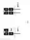 Fig. 02 - GENETICALLY MODIFIED MAJOR HISTOCOMPATIBILITY COMPLEX MICE