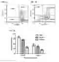 Fig. 02 - HUMANIZED MOUSE AND METHODS OF USING THE SAME