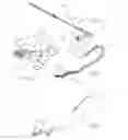 Fig. 05 - Container and supporting structure for housing an organ