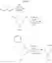 Fig. 08 - Cyclic aza-sila compounds as insect repellants