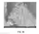Fig. 35 - Processing biomass