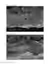 Fig. 07 - INFRARED PROCESSING TECHNOLOGY FOR THE PRODUCTION OF DRIED CRUNCHY VEGETABLE/FRUIT INGREDIENTS AND SNACKS