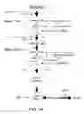 Fig. 02 - Flavor composition and edible compositions containing same