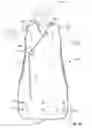 Fig. 08 - ADJUSTABLE INFANT SWADDLE