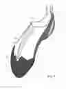 Fig. 03 - CLIMBING SHOE