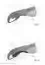 Fig. 05 - CLIMBING SHOE