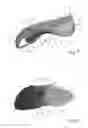 Fig. 06 - CLIMBING SHOE