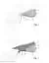 Fig. 03 - CLIMBING SHOE