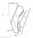Fig. 01 - DANCE SHOE