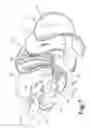 Fig. 08 - Skate boot tongue