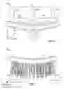 Fig. 08 - Hair brush