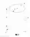 Fig. 02 - PLASTIC CANISTER WITH IMPROVED STRENGTH AND A PACKAGE SYSTEM COMPRISING THE SAME