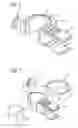 Fig. 07 - System of accessories for use with bronchoscopes