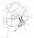 Fig. 09 - Urine specimen capture slit