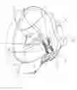 Fig. 09 - Urine hat flush water capture device