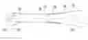 Fig. 01 - Systems and method for protection of optical system of laser-based apparatus