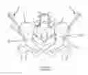 Fig. 03 - Systems for and methods of diagnosing and treating a sacroiliac joint disorder