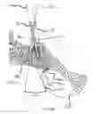 Fig. 25 - Systems for and methods of diagnosing and treating a sacroiliac joint disorder