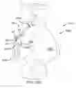 Fig. 37 - Systems for and methods of diagnosing and treating a sacroiliac joint disorder