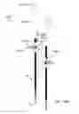 Fig. 40 - Systems for and methods of diagnosing and treating a sacroiliac joint disorder
