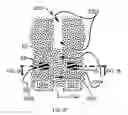 Fig. 63 - Systems for and methods of diagnosing and treating a sacroiliac joint disorder